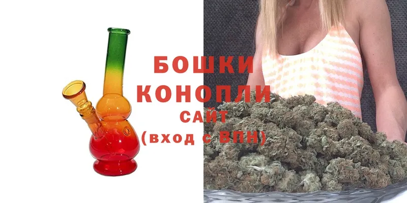 Каннабис OG Kush  Куровское 